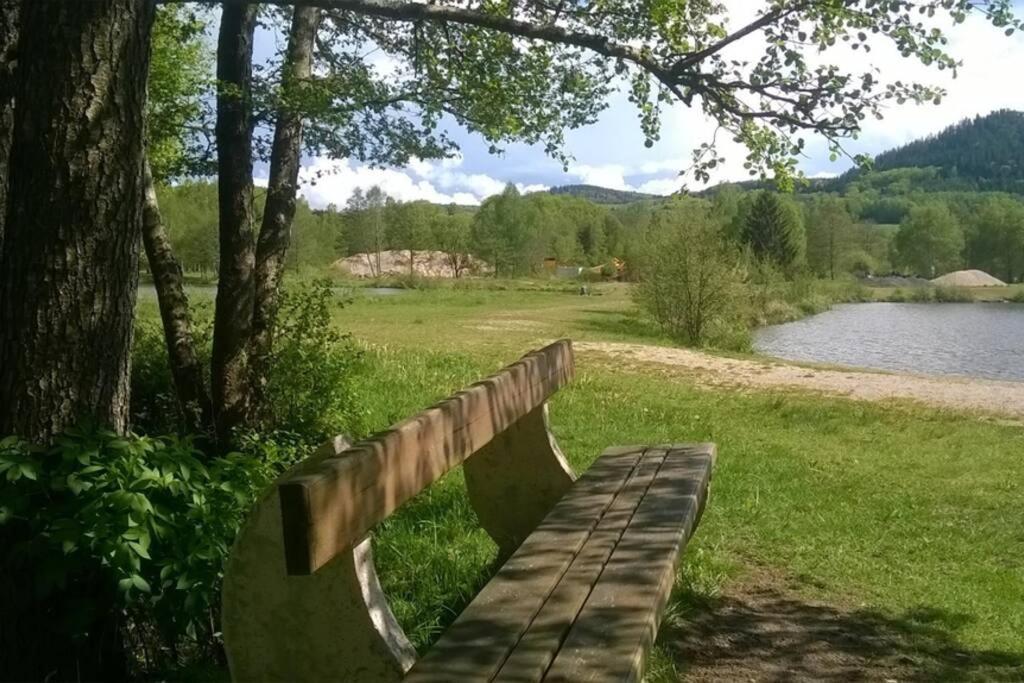 Les De L Etang :studio A 20 Mn De Gerardmer Appartement *