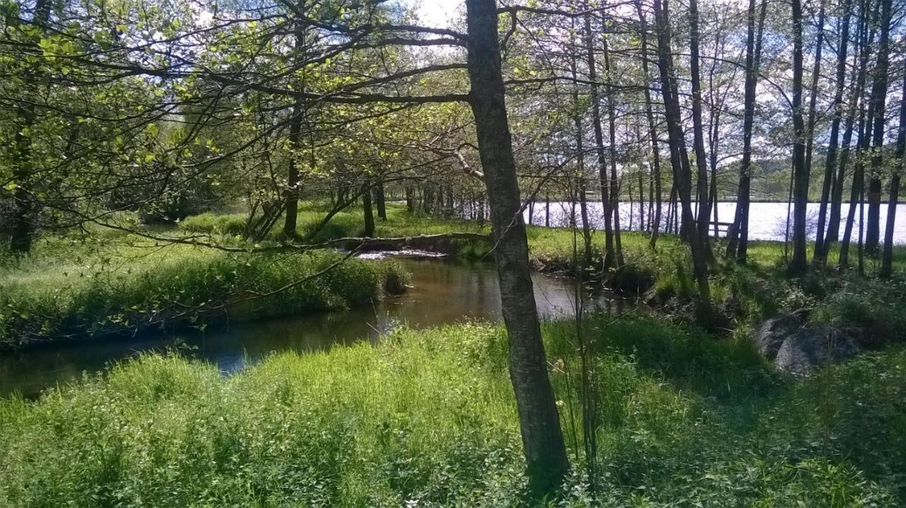Les De L Etang :studio A 20 Mn De Gerardmer Apartment *