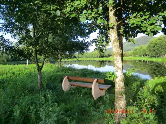 Les De L Etang :studio A 20 Mn De Gerardmer Apartment