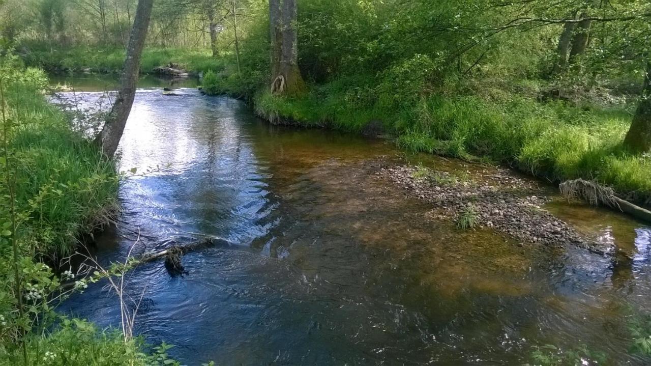 Les De L Etang :studio A 20 Mn De Gerardmer