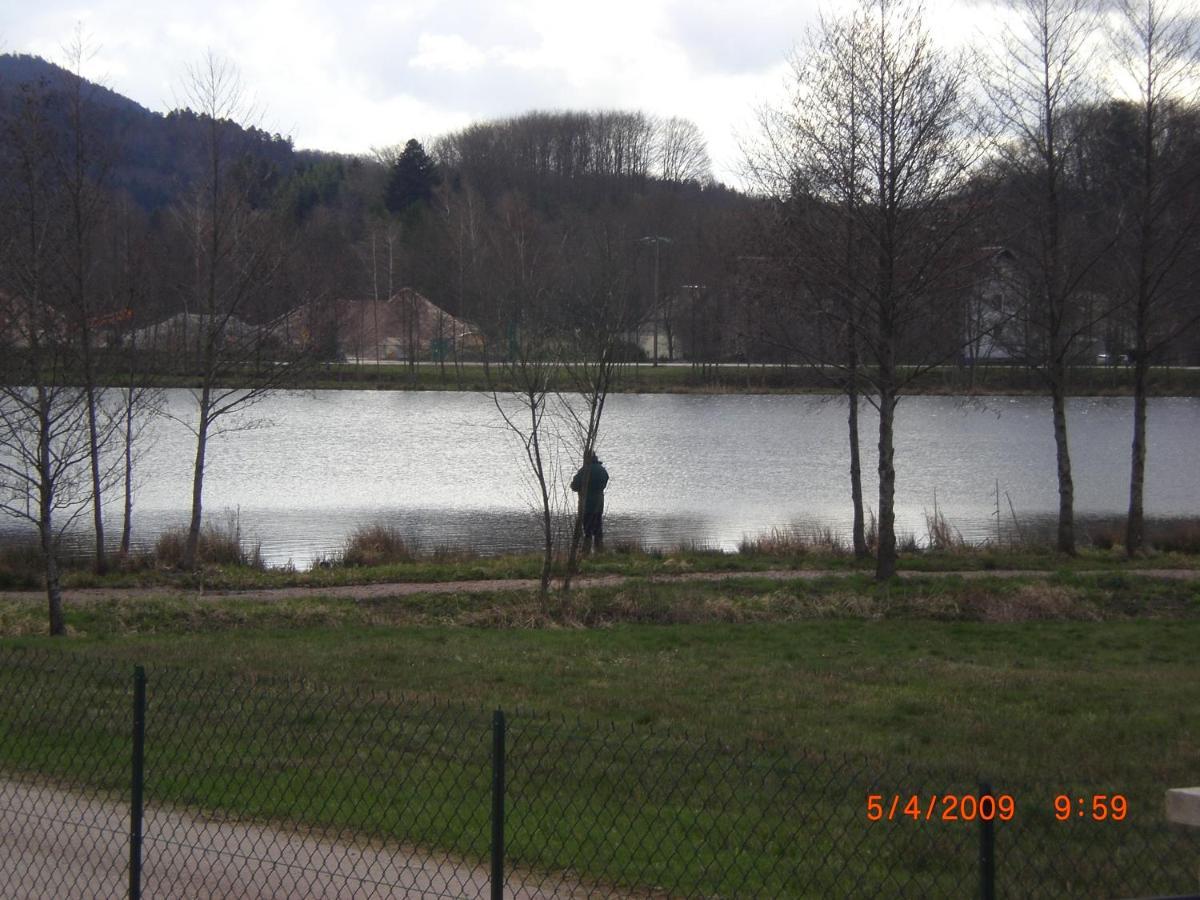 Apartment Les De L Etang :studio A 20 Mn De Gerardmer *