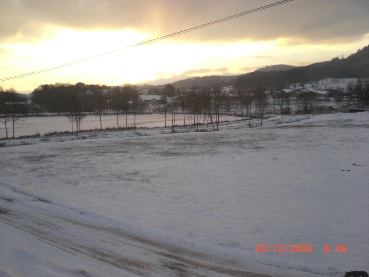 Les De L Etang :studio A 20 Mn De Gerardmer Apartment