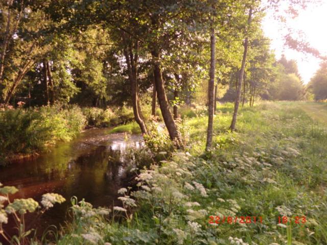 Les De L Etang :studio A 20 Mn De Gerardmer Apartment *