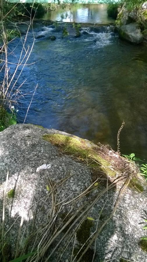 Les De L Etang :studio A 20 Mn De Gerardmer * La Chapelle (Lorraine)