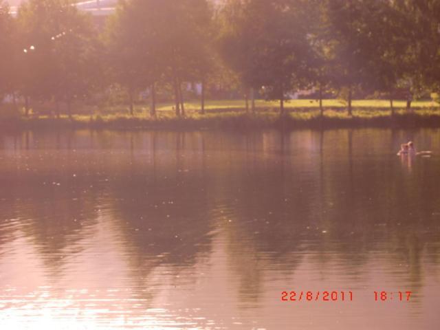 Les De L Etang :studio A 20 Mn De Gerardmer Apartment *
